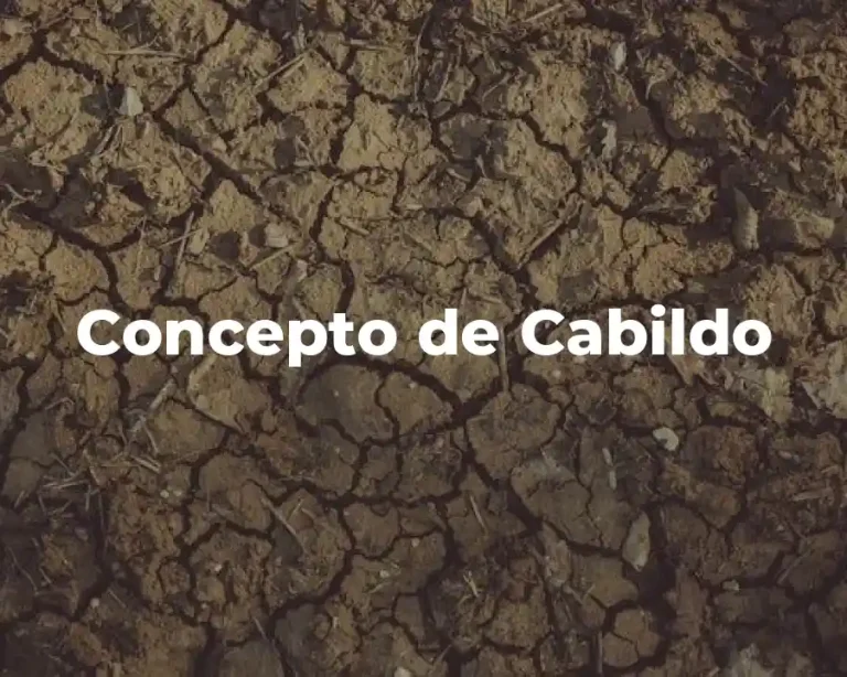 Concepto de Cabildo