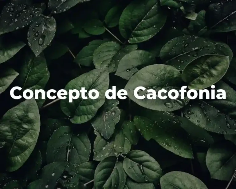 Concepto de Cacofonia