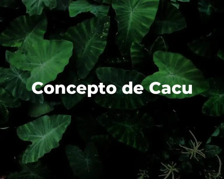 Concepto de Cacu