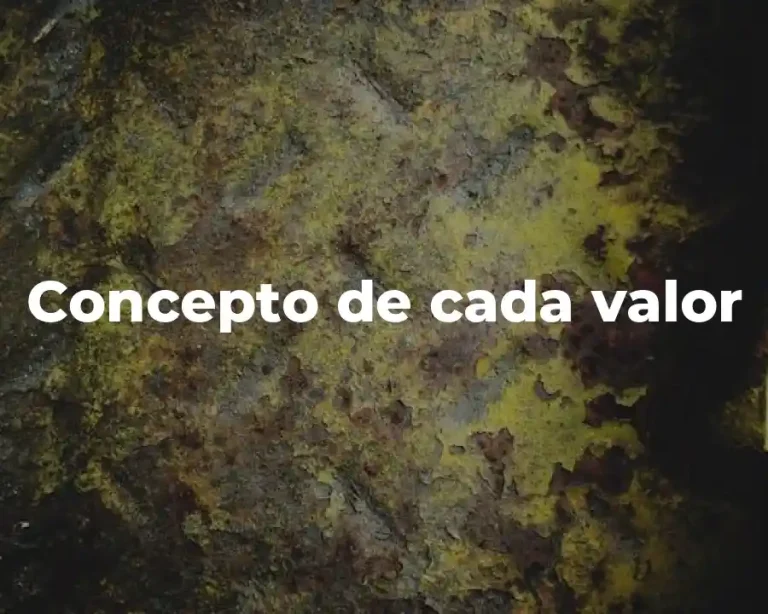 Concepto de cada valor