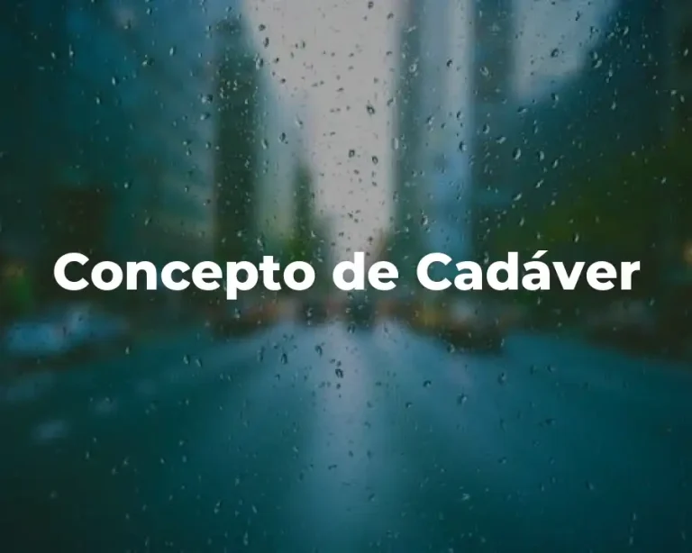 Concepto de Cadáver