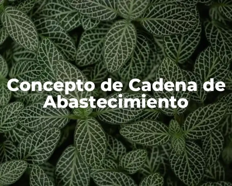 Concepto de Cadena de Abastecimiento