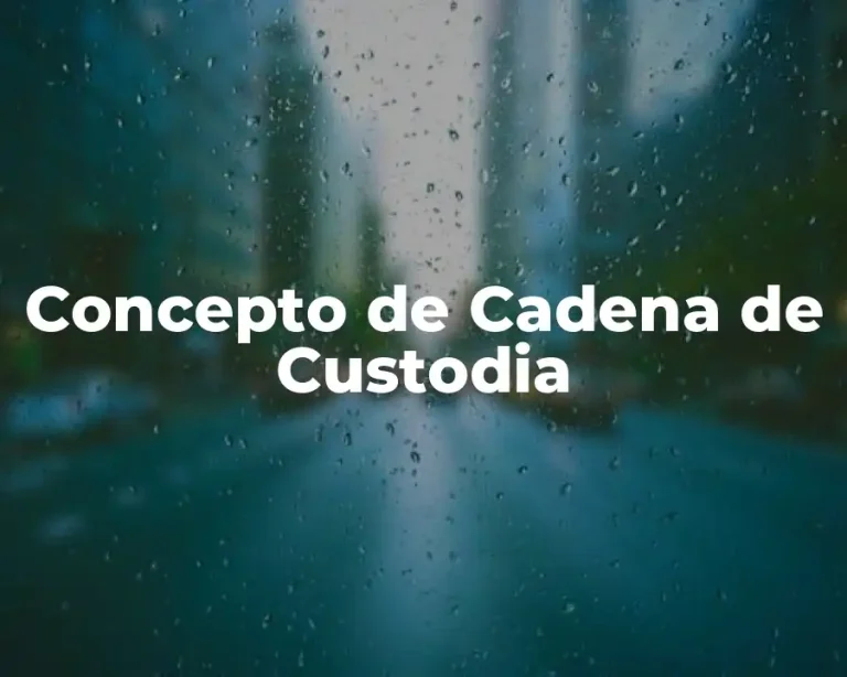Concepto de Cadena de Custodia