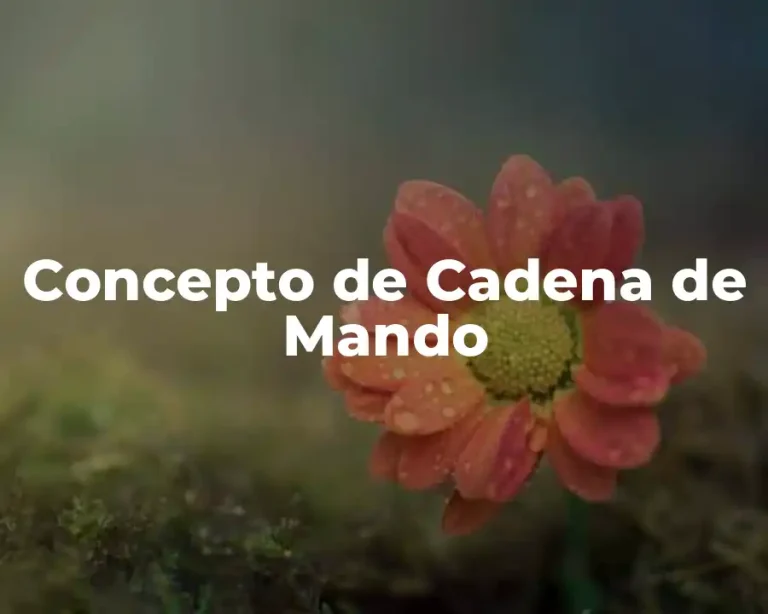 Concepto de Cadena de Mando