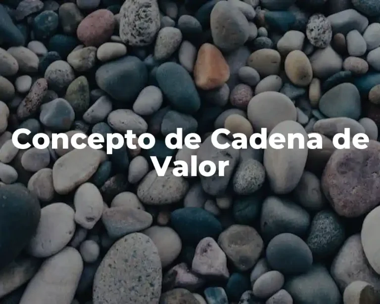 Concepto de Cadena de Valor