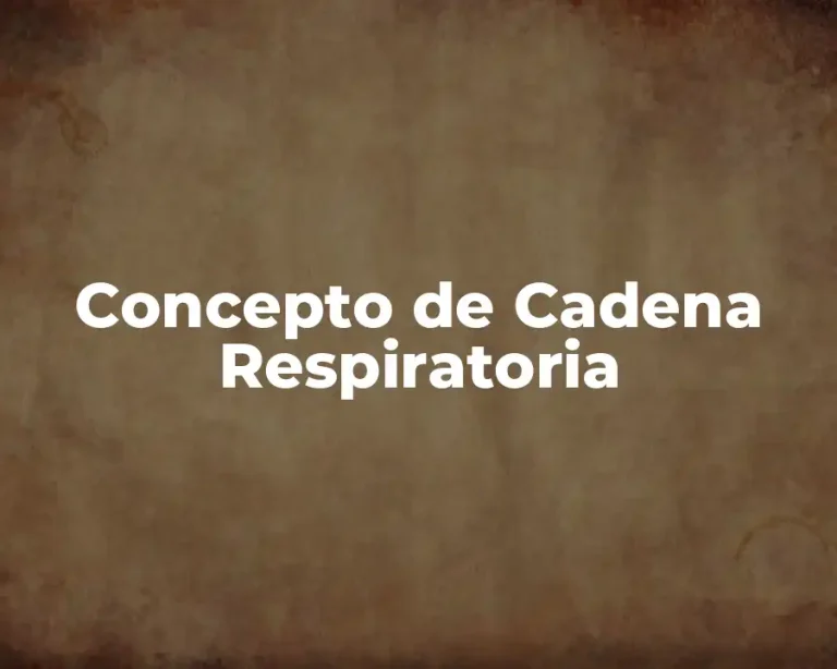 Concepto de Cadena Respiratoria