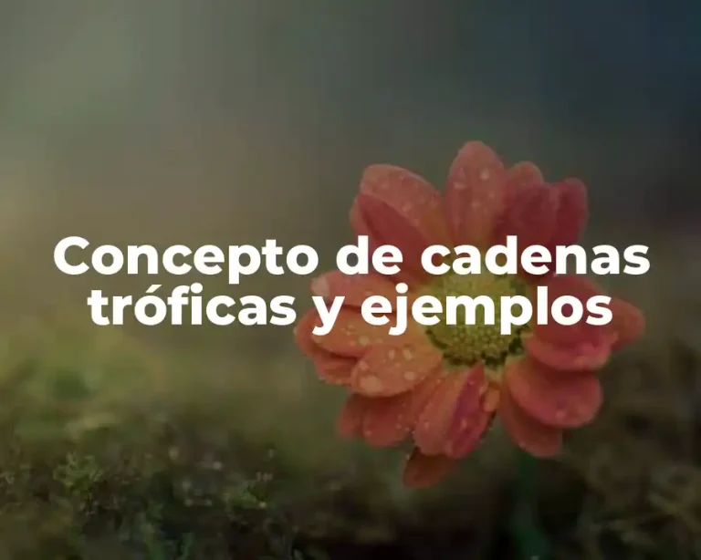 Concepto de cadenas tróficas y ejemplos