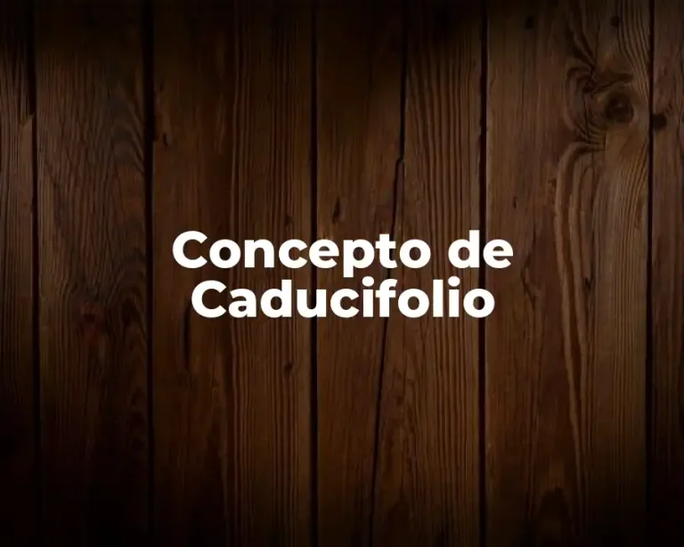 Concepto de Caducifolio
