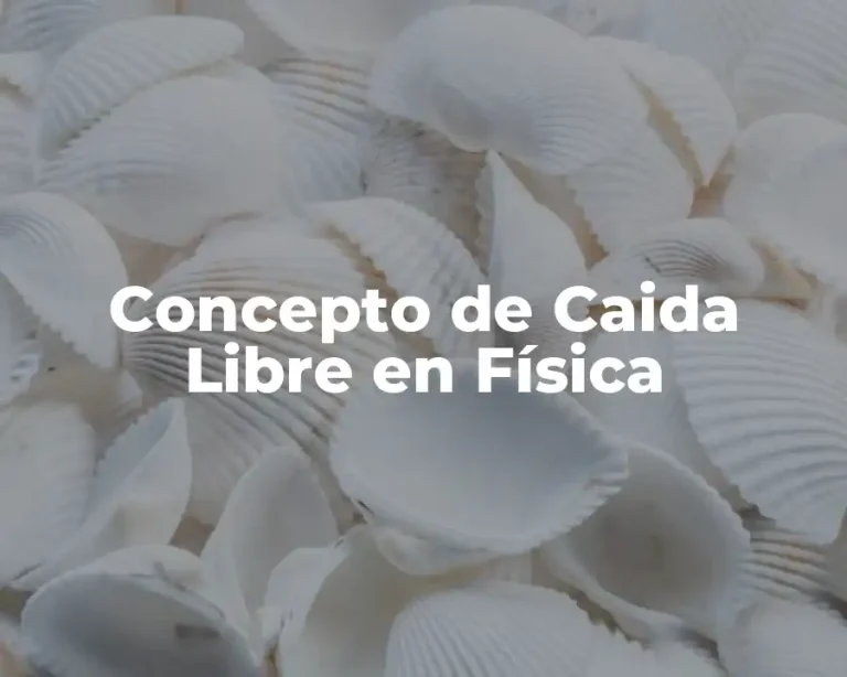 Concepto de Caida Libre en Física