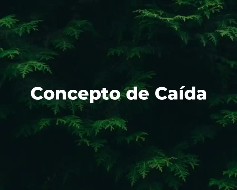 Concepto de Caída