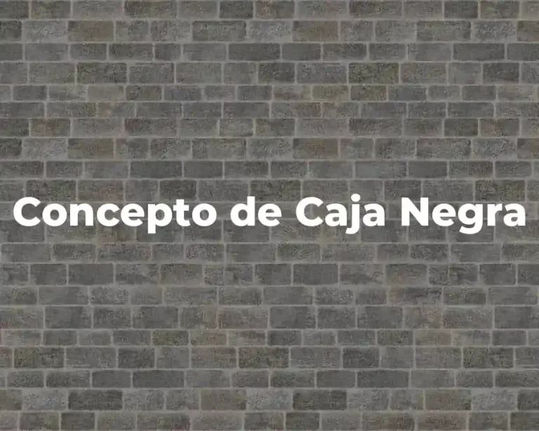 Concepto de Caja Negra