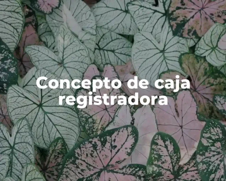 Concepto de caja registradora
