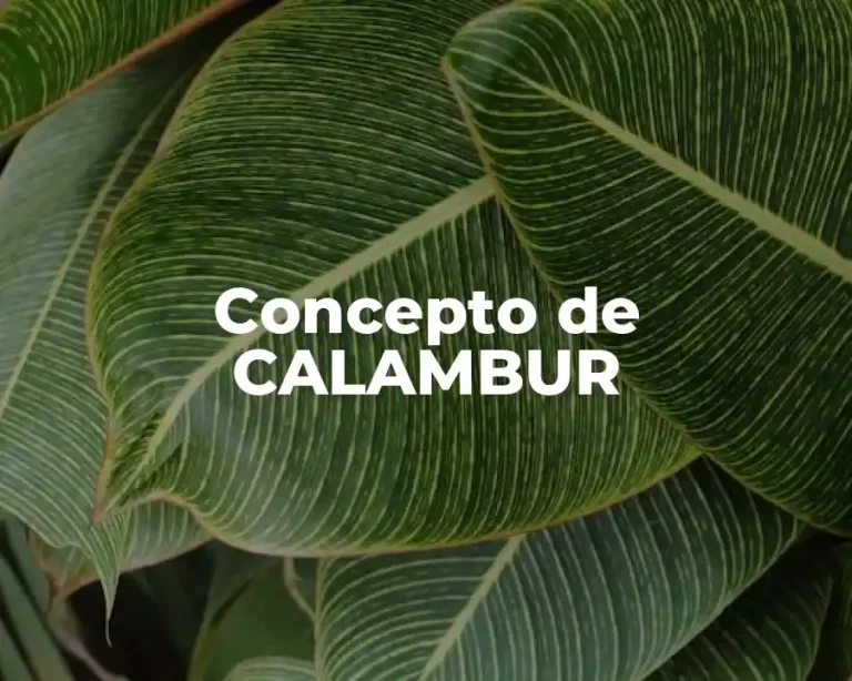 Concepto de CALAMBUR