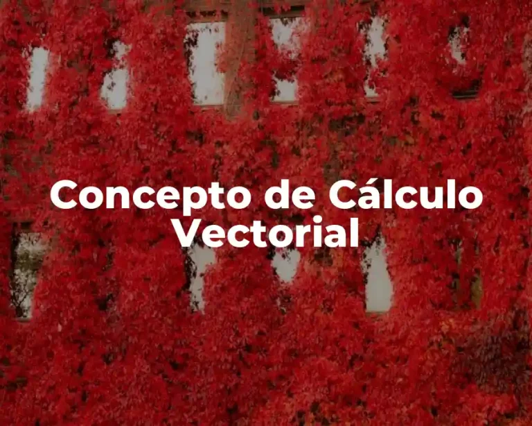 Concepto de Cálculo Vectorial