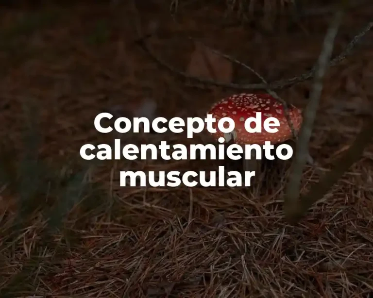 Concepto de calentamiento muscular