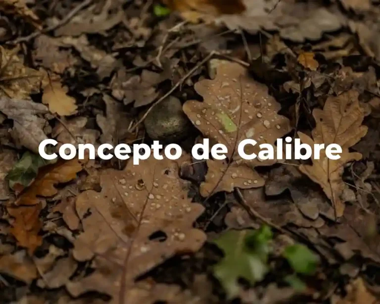 Concepto de Calibre