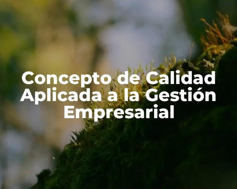 Concepto de Calidad Aplicada a la Gestión Empresarial