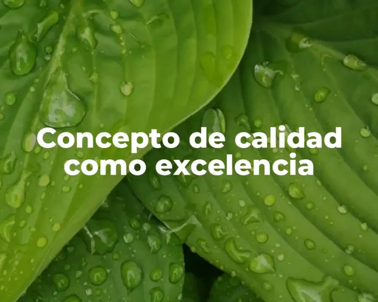 Concepto de calidad como excelencia
