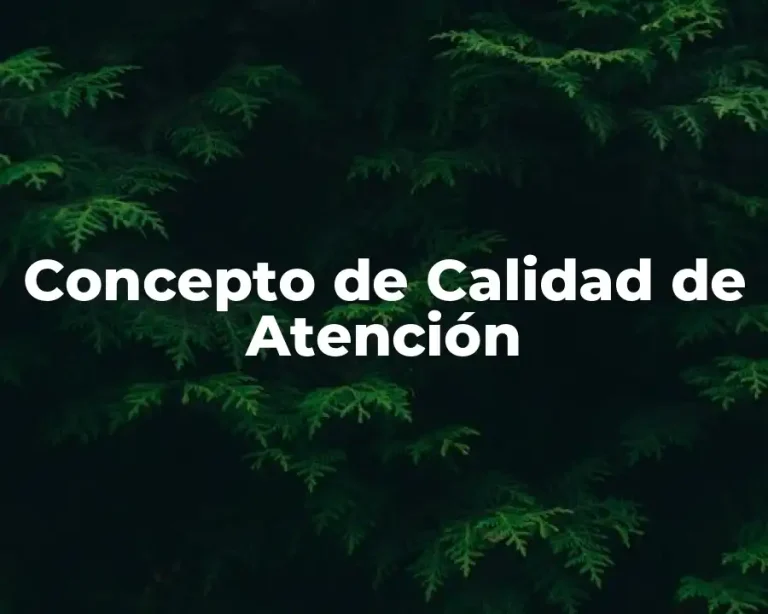 Concepto de Calidad de Atención