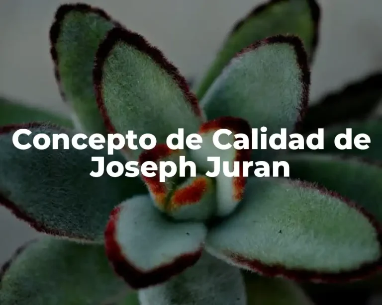 Concepto de Calidad de Joseph Juran