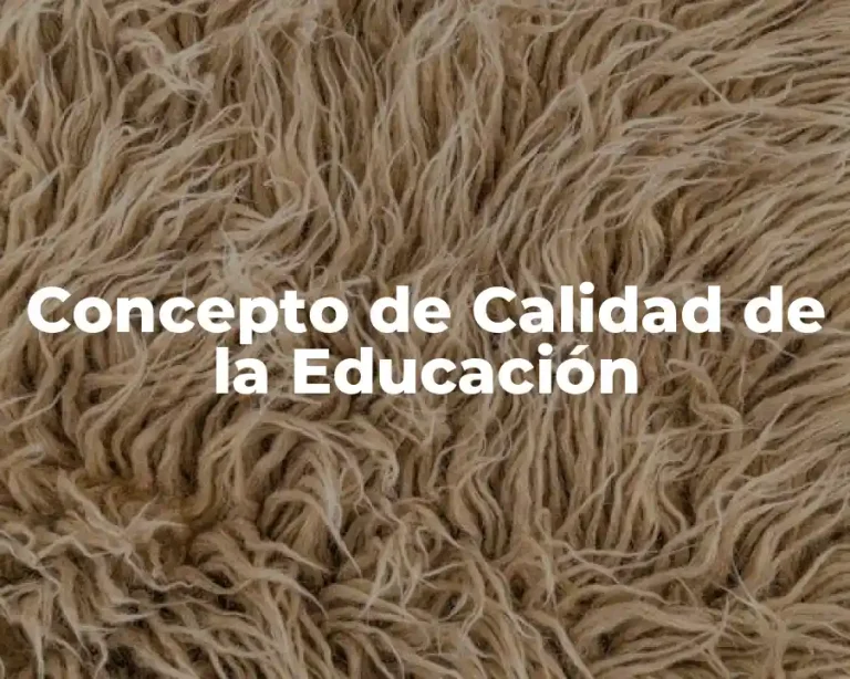 Concepto de Calidad de la Educación