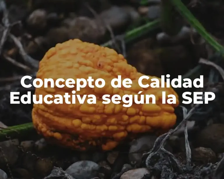 Concepto de Calidad Educativa según la SEP