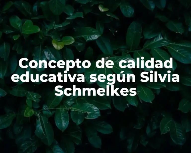 Concepto de calidad educativa según Silvia Schmelkes