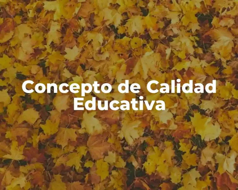 Concepto de Calidad Educativa
