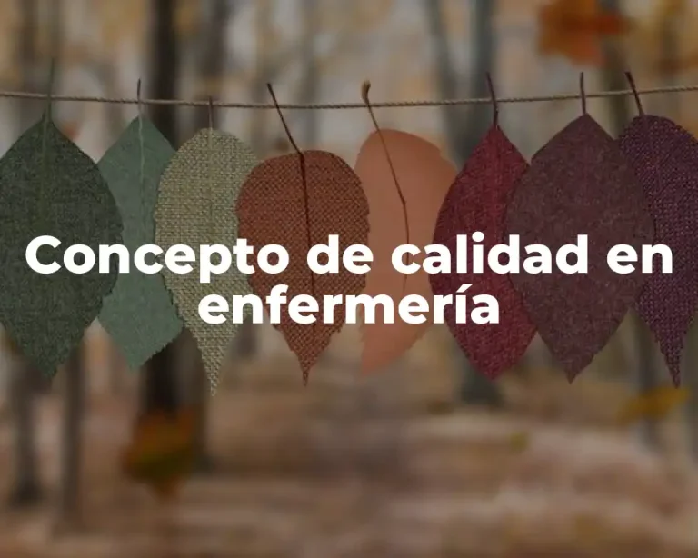 Concepto de calidad en enfermería