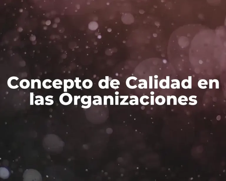 Concepto de Calidad en las Organizaciones