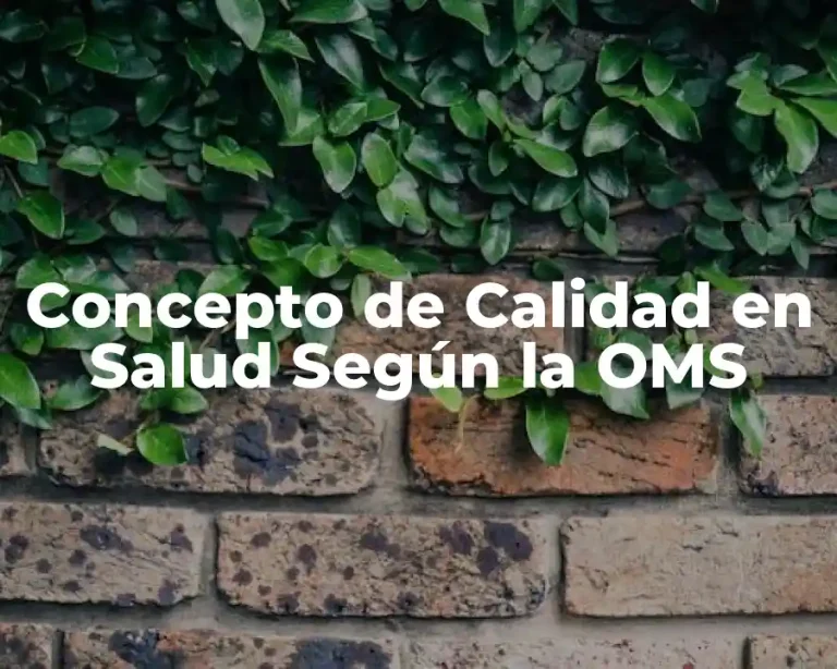 Concepto de Calidad en Salud Según la OMS
