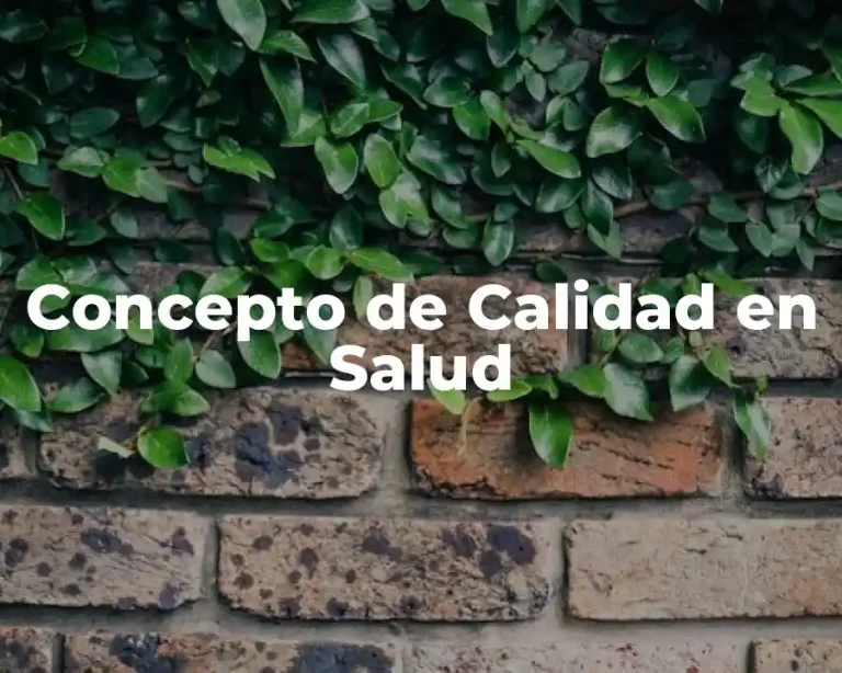 Concepto de Calidad en Salud