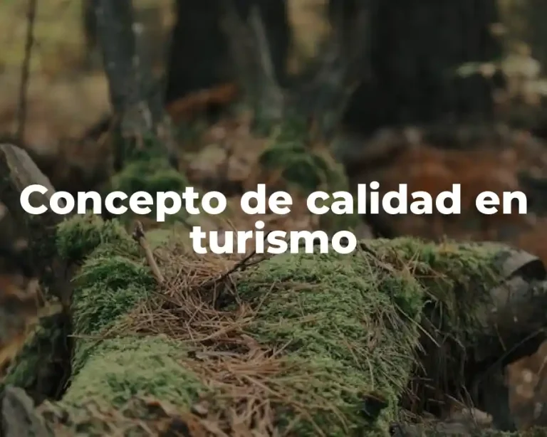 Concepto de calidad en turismo