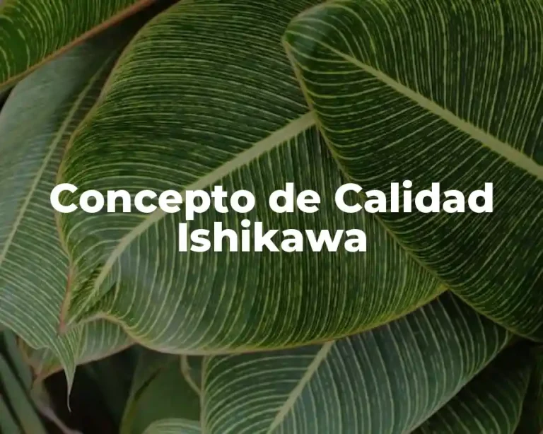 Concepto de Calidad Ishikawa