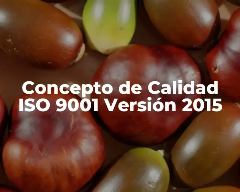Concepto de Calidad ISO 9001 Versión 2015