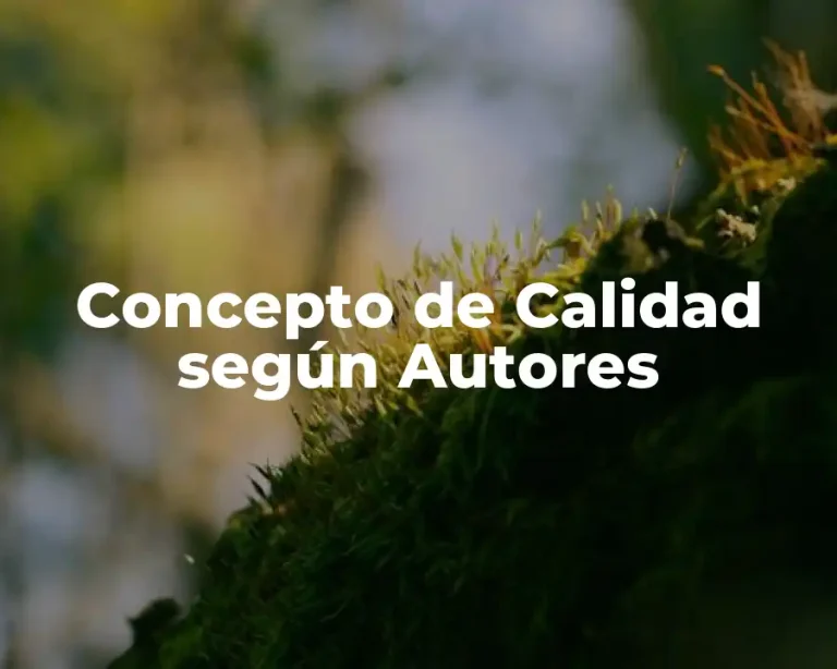 Concepto de Calidad Según Autores
