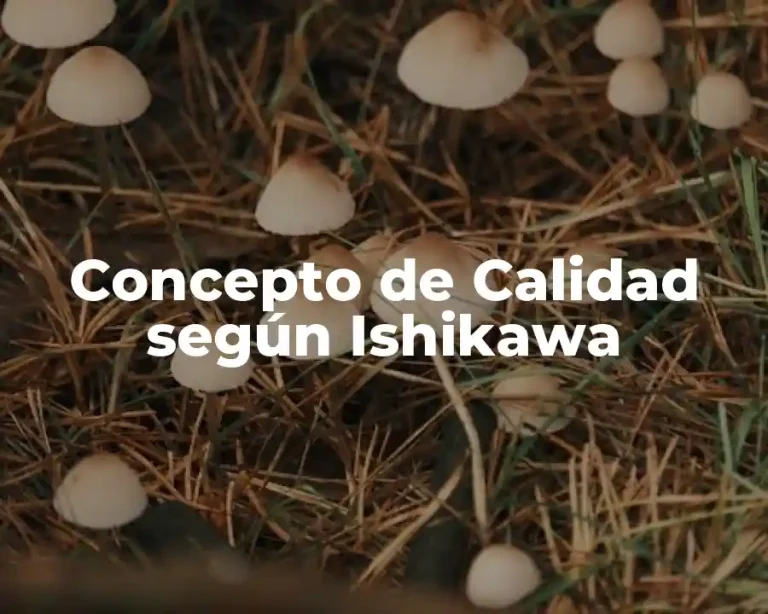 Concepto de Calidad según Ishikawa