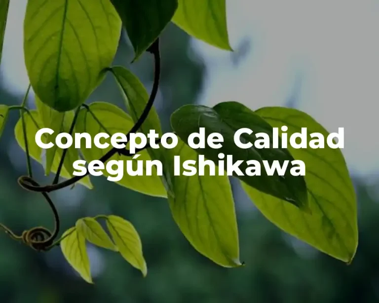 Concepto de Calidad según Ishikawa