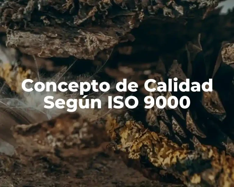 Concepto de Calidad Según ISO 9000