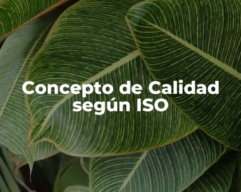 Concepto de Calidad según ISO