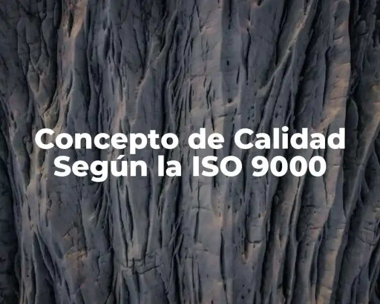 Concepto de Calidad Según la ISO 9000