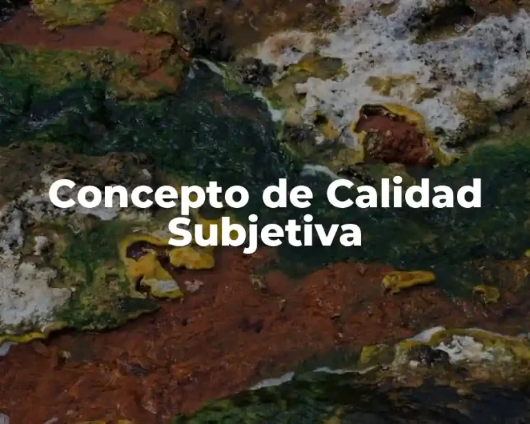 Concepto de Calidad Subjetiva