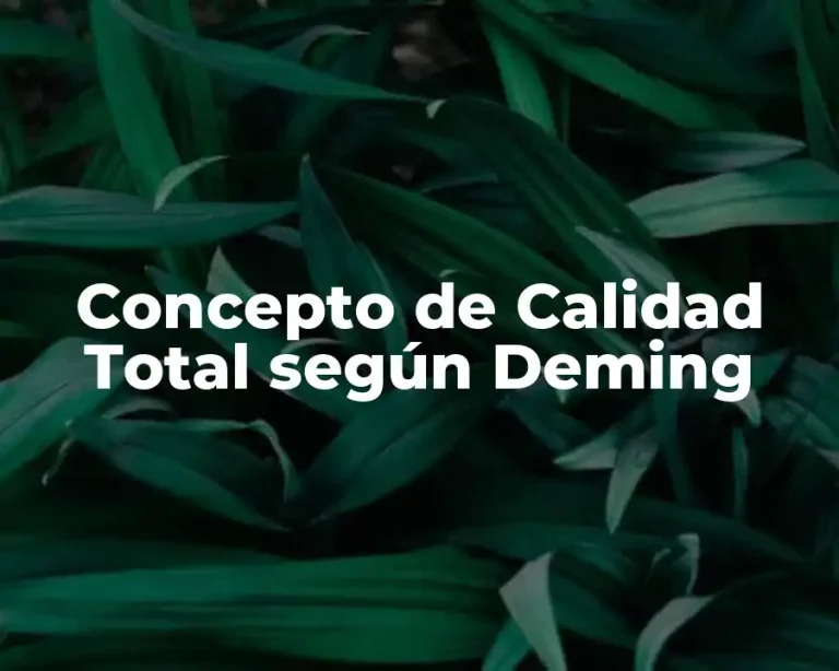 Concepto de Calidad Total según Deming