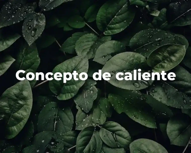 Concepto de caliente