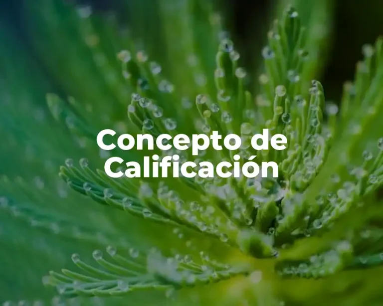 Concepto de Calificación