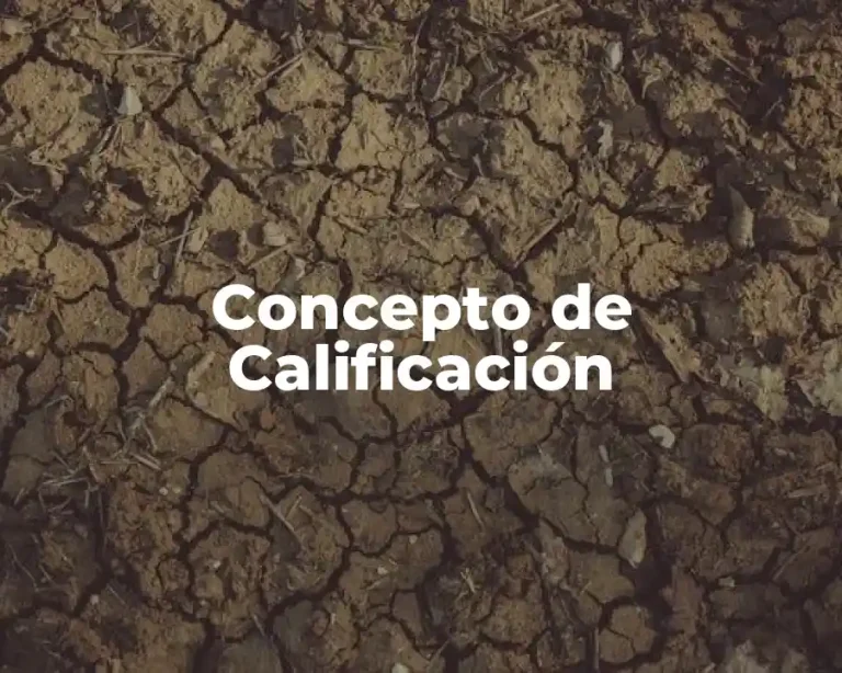 Concepto de Calificación