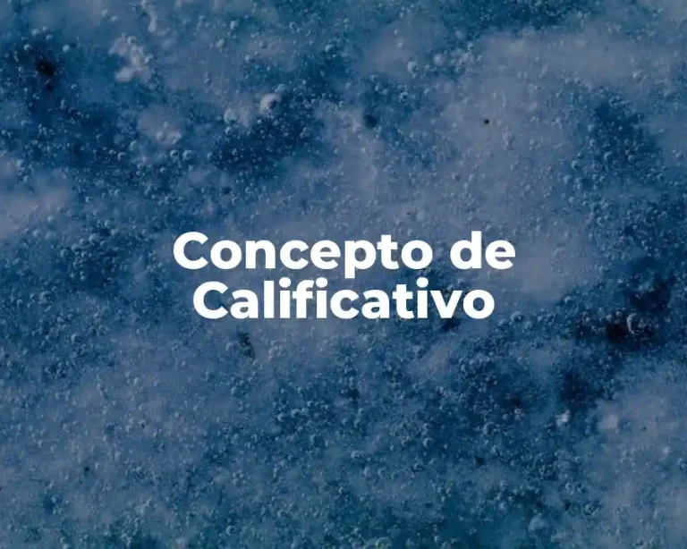 Concepto de Calificativo