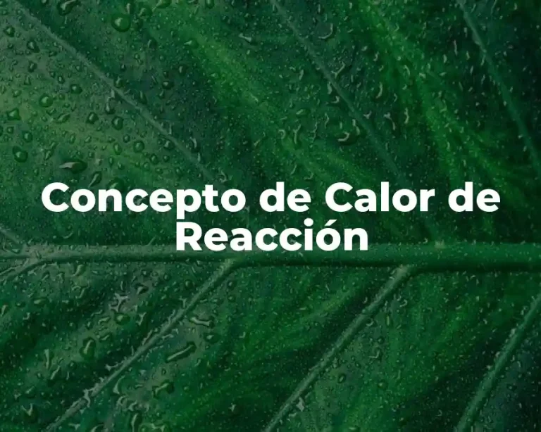 Concepto de Calor de Reacción