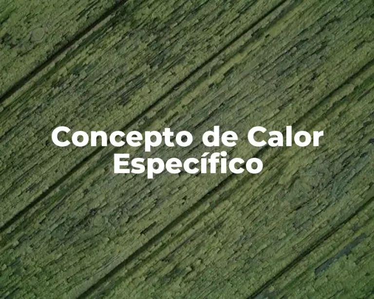 Concepto de Calor Específico