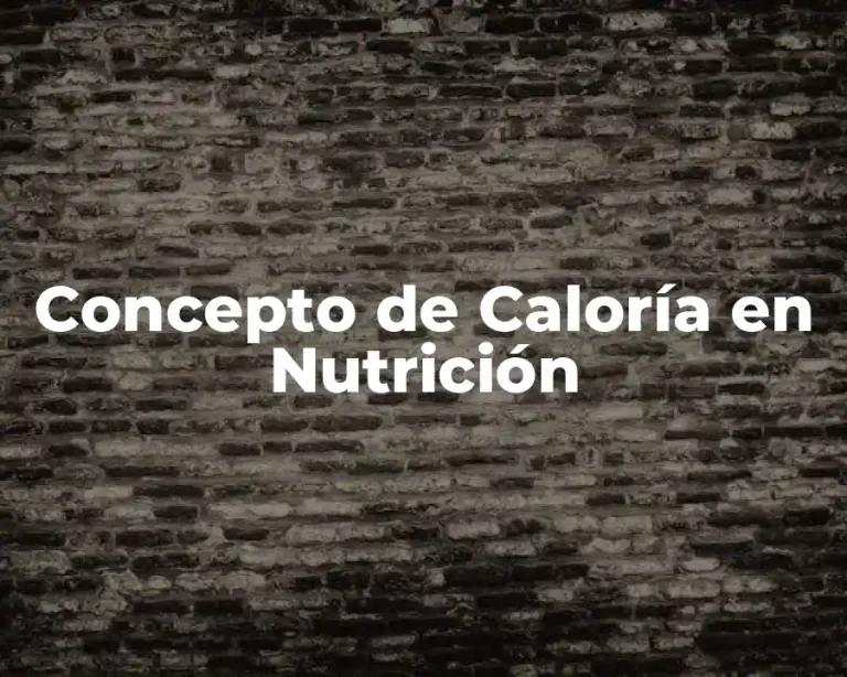 Concepto de Caloría en Nutrición